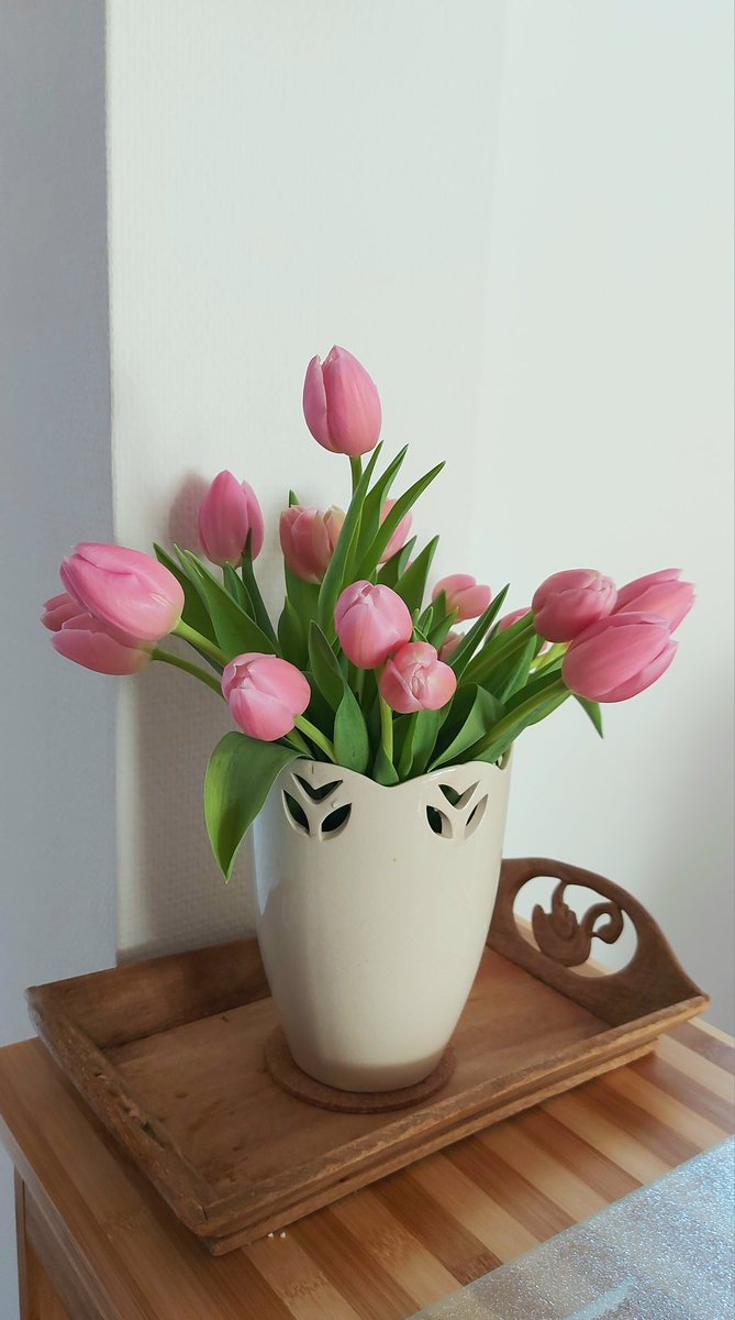 tulips in my kitchen 💐🦢🎀