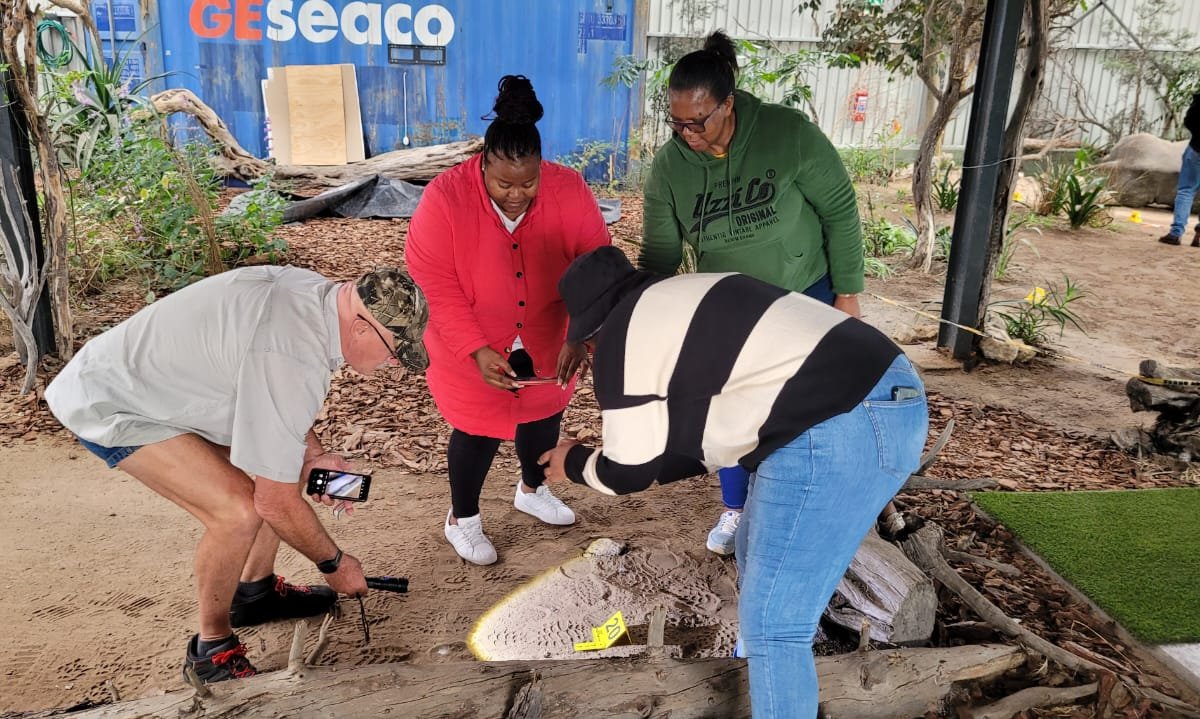 FishFORCE tweet media