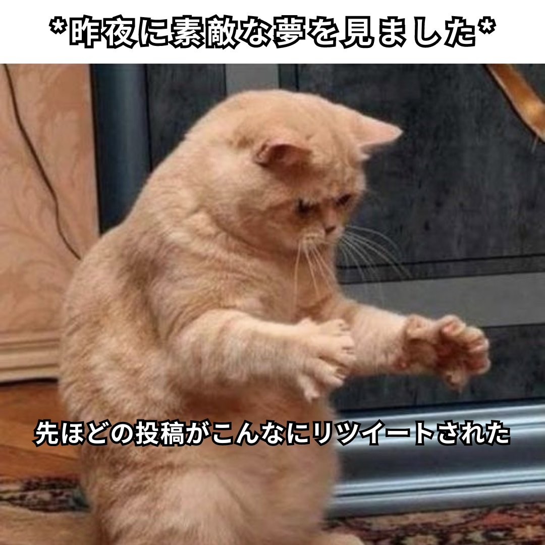 wnmedia_jp's tweet photo. 私の素敵な夢の実現を手伝ってくれますか？

#ミーム #広告 #SNS運用 #SNSマーケティング #猫 #夢 ＃リツイート https://t.co/CQ7Fa2refc