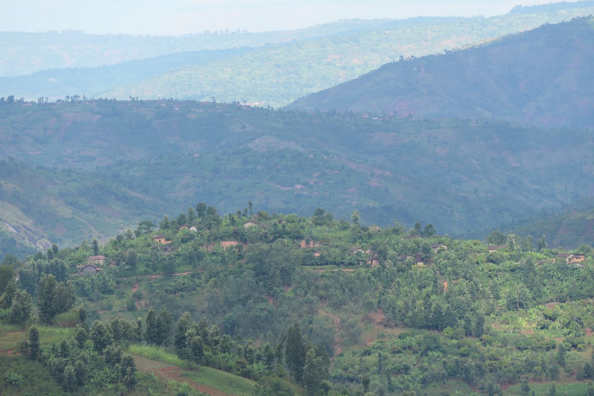 Where are you posting from? 

Good morning from @NyaruguruDistr, @RwandaSouth, Rwanda. 

#VisitRwanda #RwandaIsOpen