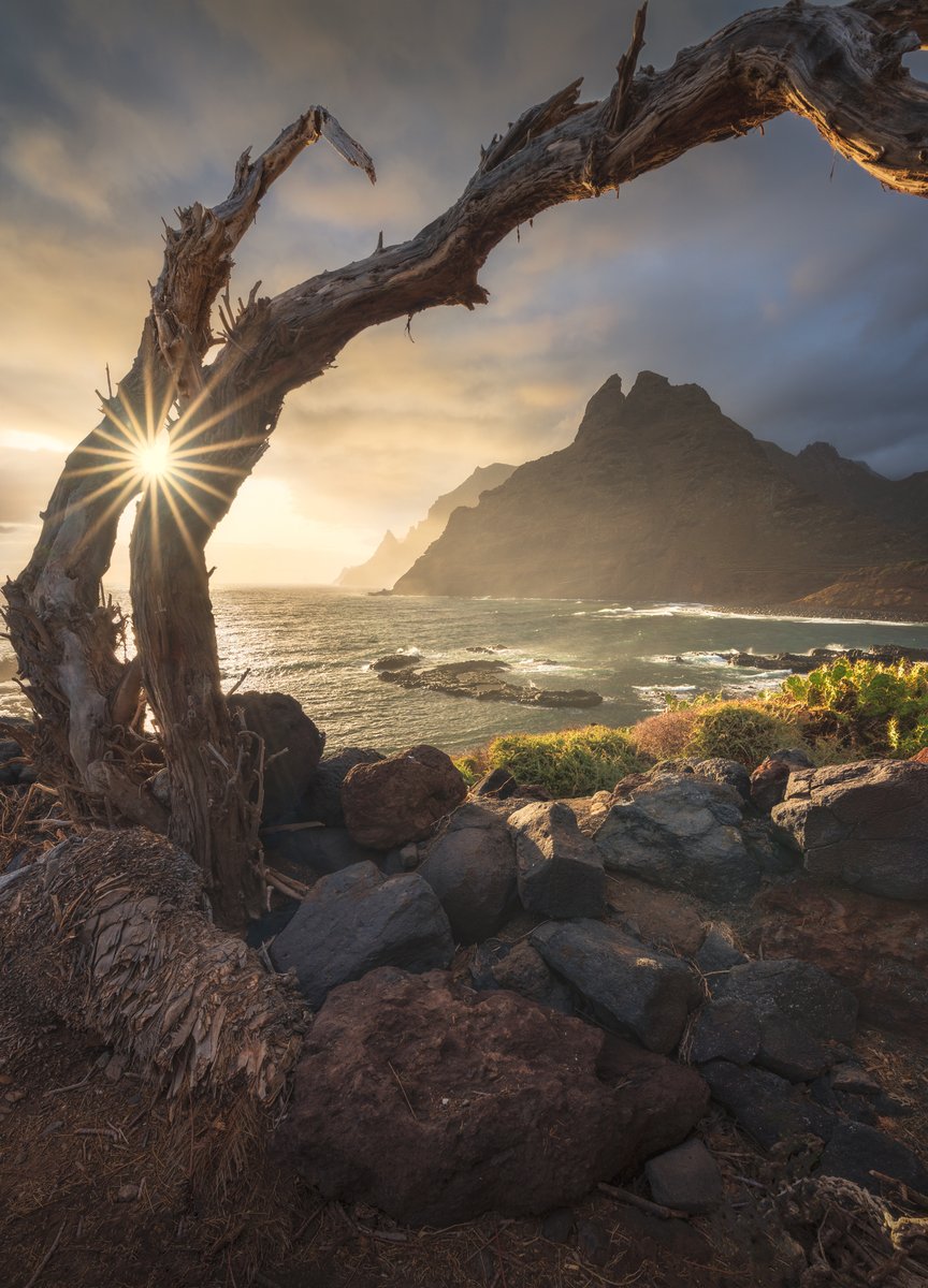 “An incredible morning in Tenerife!” 📷  Nikon D750 | 15mm | ƒ/16 | 1/6s | ISO 100 👉 Photo by Paolo Gabriele Maiero 📍 Planned with PhotoPills: photopills.com
