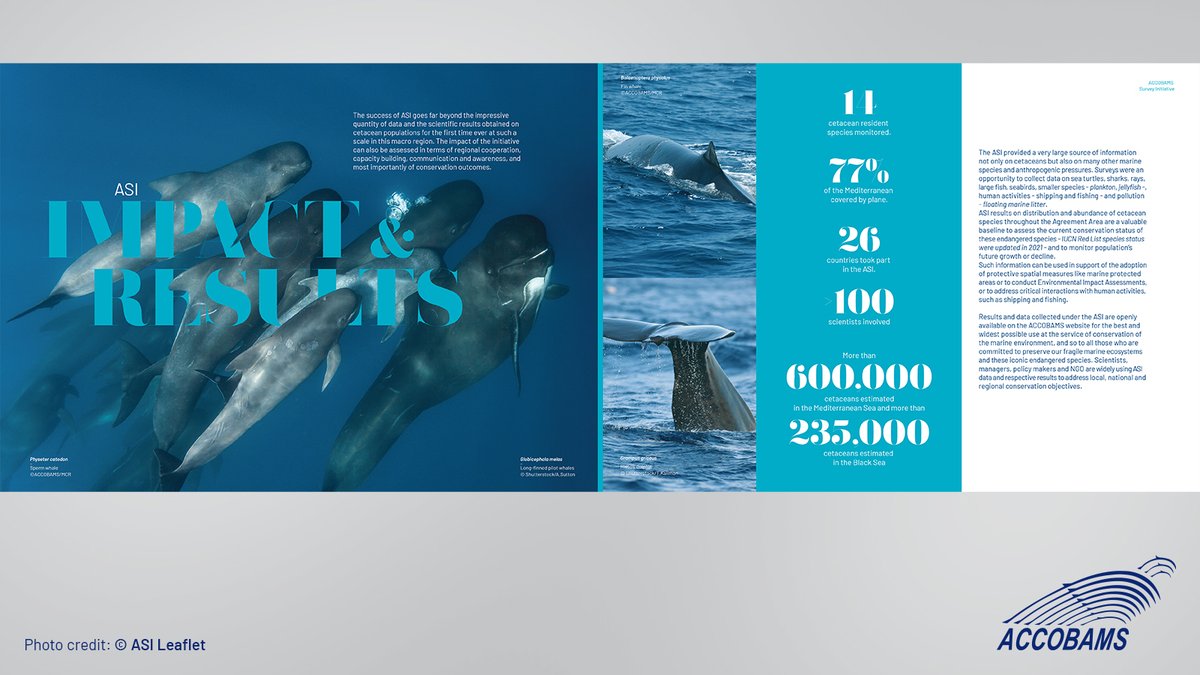 ACCOBAMS's tweet photo. #ACCOBAMS steps up cetacean monitoring! Building on #ASI data, a new program tracks population trends &amp; identifies high-risk areas. This data helps us protect #cetaceans in the #mediterranean &amp; #blackseas. 

Know more 🔗
https://t.co/B3LbN9JPXO

#NETCCOBAMS https://t.co/CpRLncSt3h