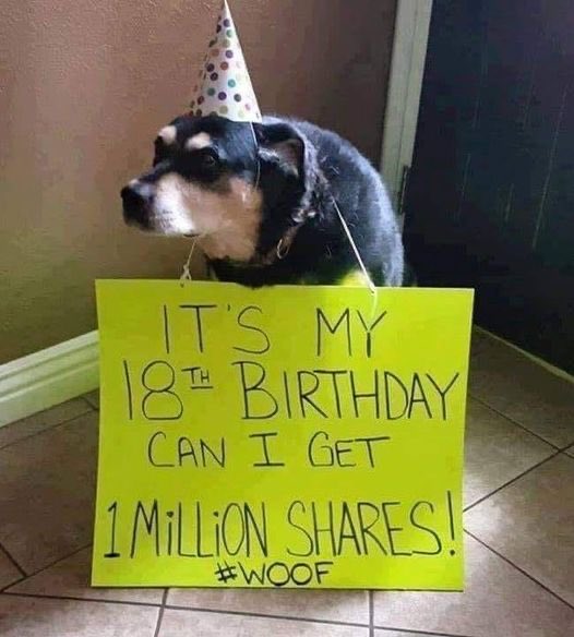 Today is my birthday but nobody wished me yet 🥺
#doge #dogs #puppies #PuppyLove 
#Pakistan #Iran #PakistanIranTogether #PakistanWelcomesRaisi #IranCrownPrinceWithArnab