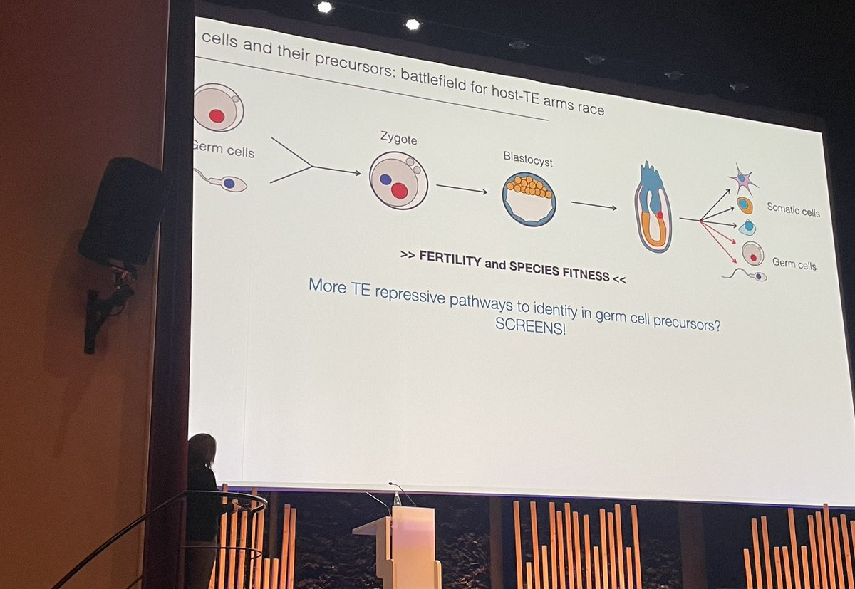 Exciting talk by @DeborahBourchis on novel transcriptional repressor complex acting on IAP retrotransposons in mouse. Beautiful work. The power of genetic screens! #icte2024