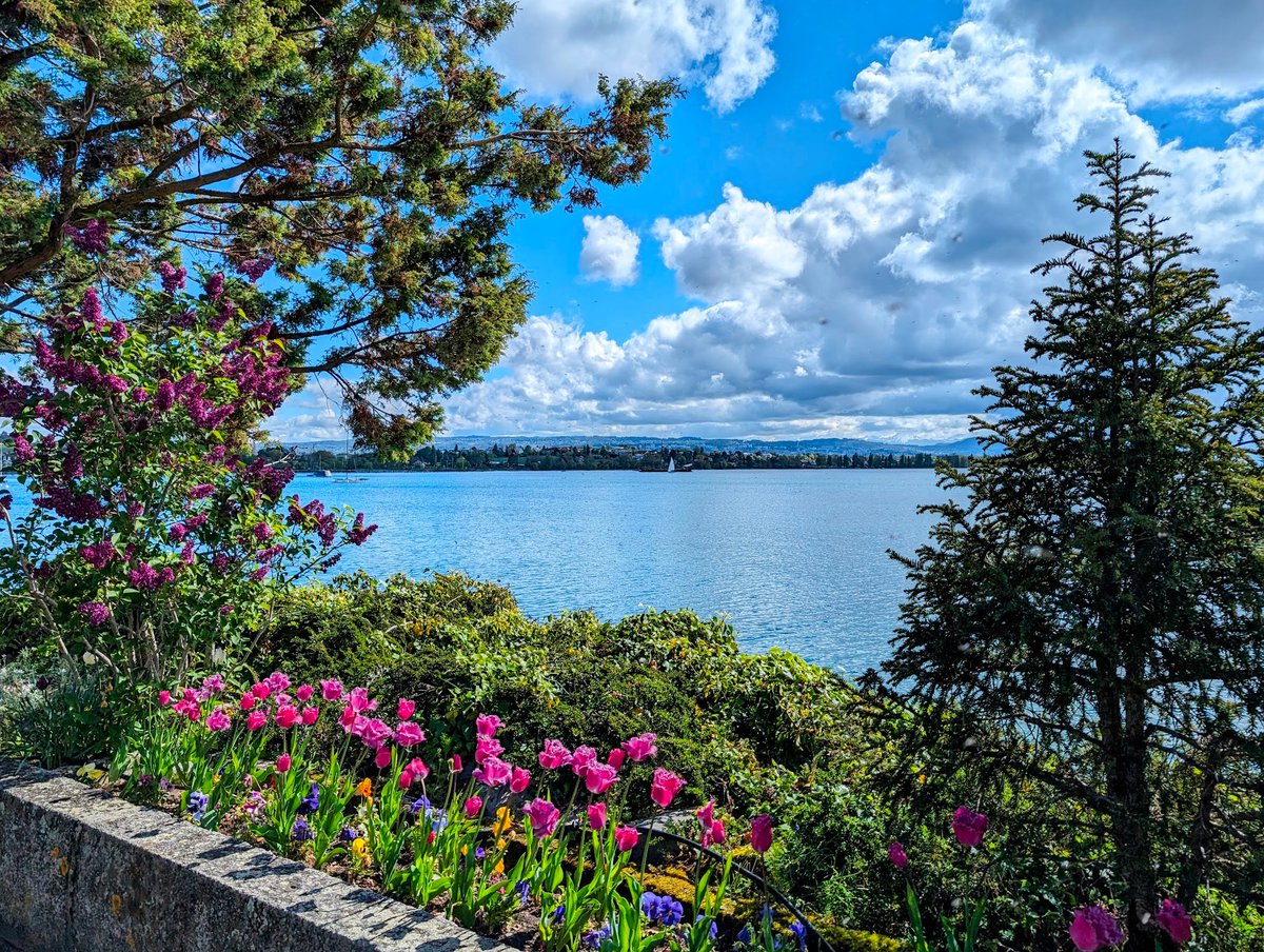 stackhodler's tweet photo. The world is converging on #Bitcoin as the ultimate store of value asset.

But the big moves are still ahead of us.

The change in perception of Bitcoin over the past 5 years has been astonishing.

It's gone from an asset that was laughed off at cocktail parties, to an asset that BlackRock is sprinkling into conservative bond portfolios.

And it's happened in a blink of an eye.

Now the US and Hong Kong spot ETFs are hinting at the bigger game that's ahead. 

Nation states are entering a battle to get as much Bitcoin as possible under their jurisdiction.

Every country will leverage whatever natural advantage they have to stack finite Bitcoin.

And now that the US and China have made it clear that they're keen on converting overinflated financial asset value into Bitcoin...

We likely aren't far off from major oil and gas producers from publicly stacking Bitcoin.

Converting finite oil profits into finite #Bitcoin makes a lot more sense than converting finite oil profits into infinite fiat assets.

It's a simple idea that will change the investment landscape forever.

And it's the type of move that will send Bitcoin towards $1 million per coin and beyond.

If you think you missed the boat at $66K, you need to realize that we are still at the very beginning of this story.

Most people will still write this off as crazy.

Right now I'm the guy with a dial-up Internet connection explaining how one day we'll be able to stream any movie or song we want from our laptop while cruising at 35,000 feet.

Most people wouldn't have believed it.

But today it's normal.

Those who can extrapolate trends have always had an advantage in investing and life.

And Bitcoin is one of the easiest trends to spot.

If you can see it too, you have one simple job: 

Stay solvent, stack Sats, and enjoy life.