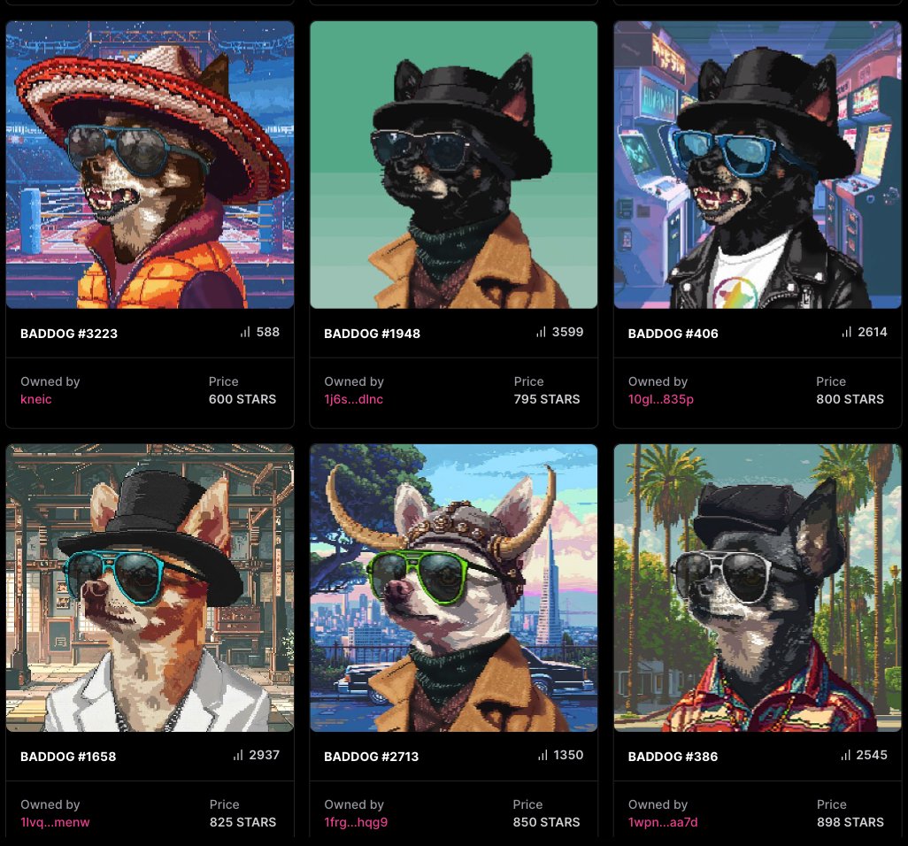 Woof

Let's support <a href="/Shopsosquishy/">smol</a> and raise awareness for his collection on <a href="/StargazeZone/">Stargaze ✨🔭</a> 🐶

I am giving away 250.000 $BADDOG (25 Million total) to anyone who mints at least one BADDOG NFT. This is 50% of the current NFT mint price. If you mint more than one, you can also win