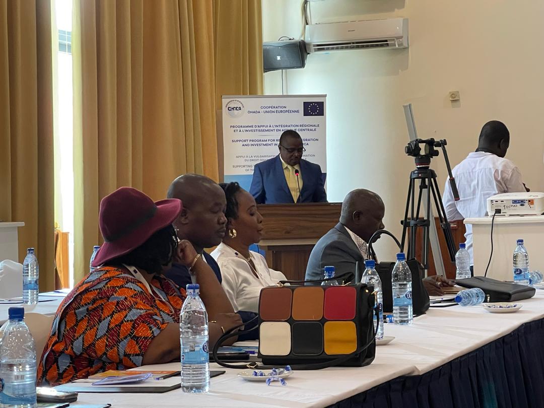 Un séminaire de sensibilisation sur les innovation des Actes <a href="/DroitOhada/">OHADA.com</a> est en cours à #Ndjamena 🇹🇩, dans le cadre de l'appui 🇪🇺à <a href="/Pairiac_Africa/">PAIRIAC</a> . Pendant 3⃣ jours, les magistrats, avocats, notaires et juristes échangeront pour améliorer l'environnement des affaires au #Tchad💪🏾
