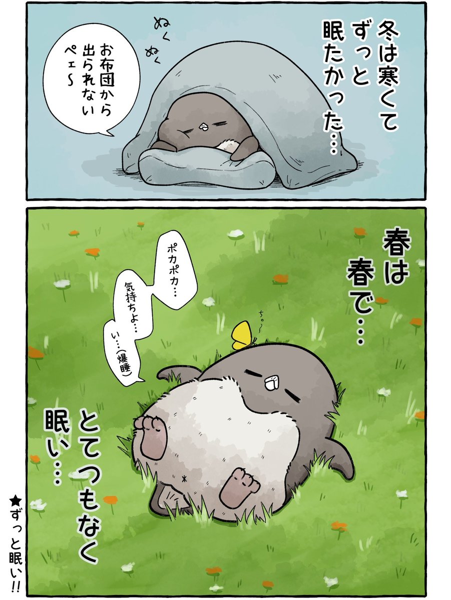 春になってもずっと眠い
#虚無かわいいアデリーペンギン 