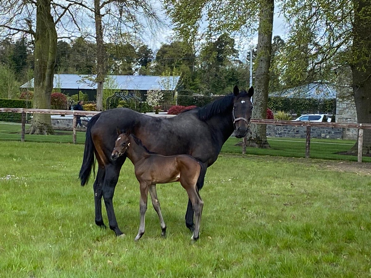 glenstud's tweet photo. Apples &amp; baby blue… enjoying a bit of fine weather…what a difference in six days ⁦@BectiveStud⁩ 😍 https://t.co/eVGGr58pIx