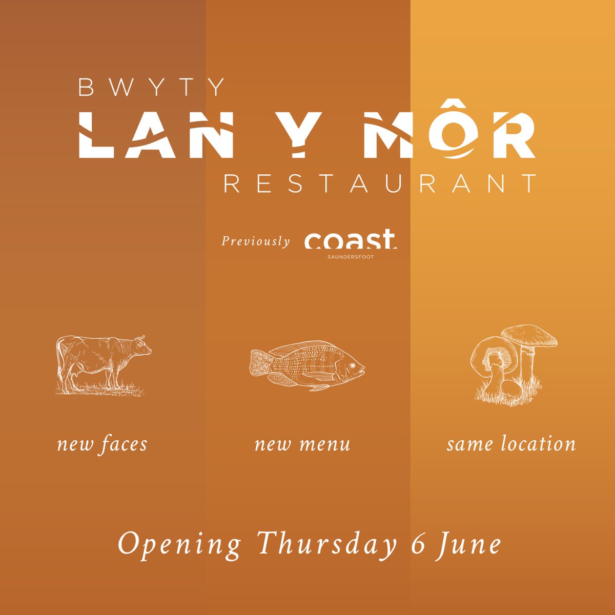 It's all change in Saundersfoot... say goodbye to Coast and hello to 'Lan y Môr'!

We're really excited to share we'll be reopening the restaurant under a new name, 'Lan y Môr'!

Click the link below to find out more and to book your table

lanymorsaundersfoot.co.uk