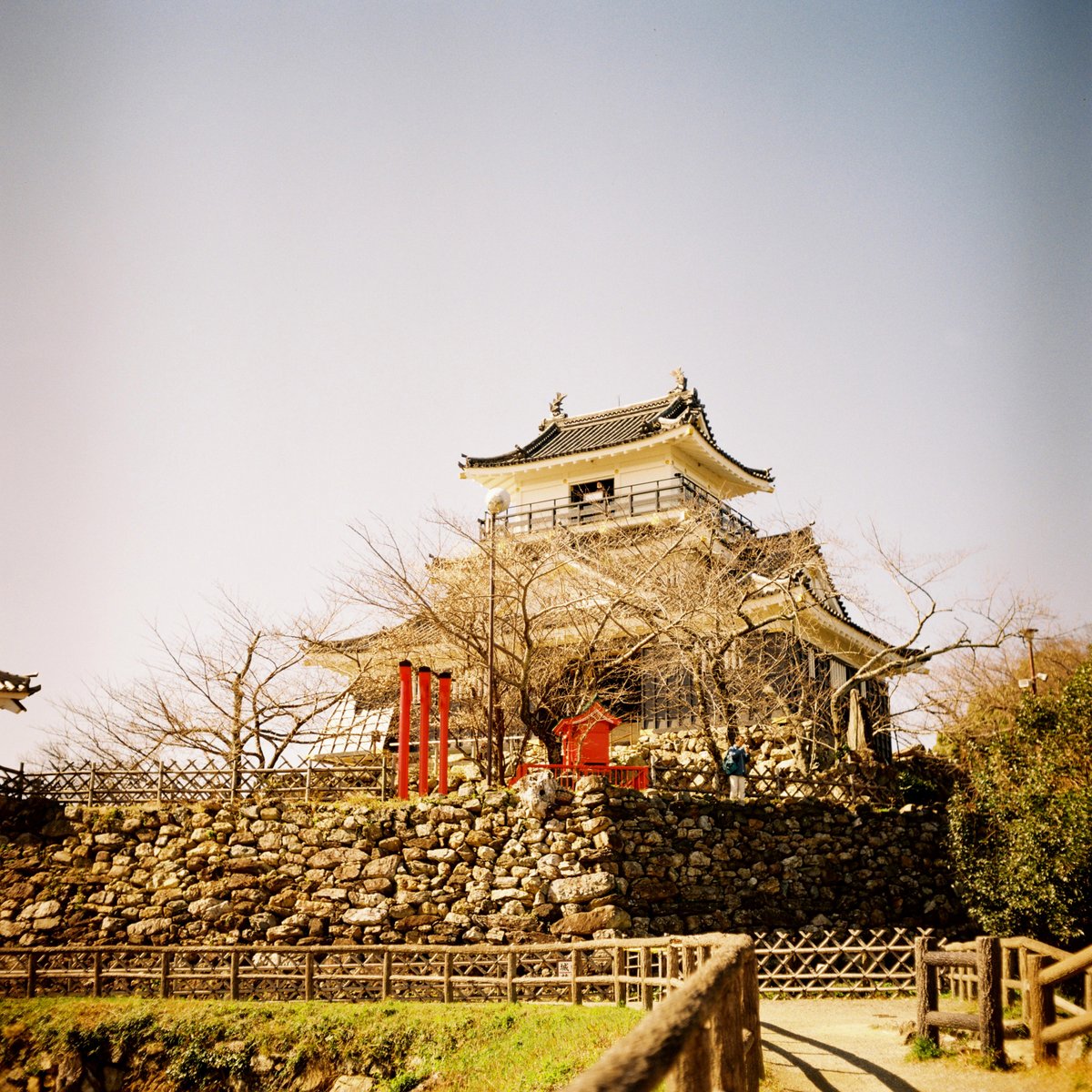 浜松城。 (｡･ω･｡)  
#filmphotography #カメスズ