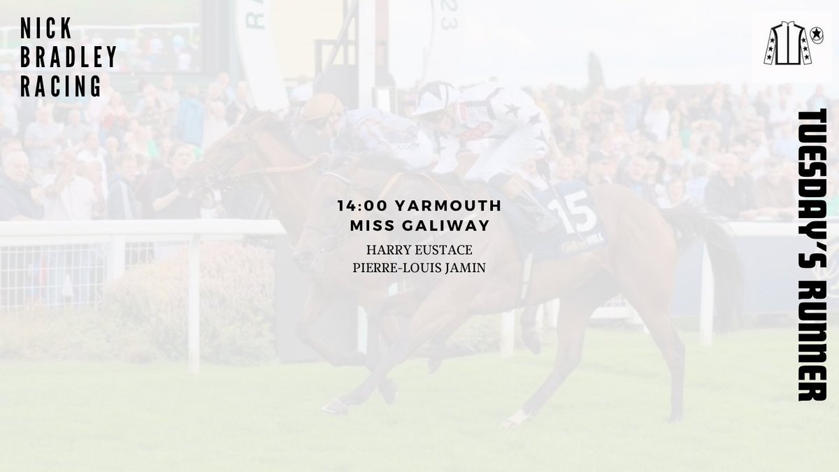Miss Galiway is our only runner of the day in the first at @GTYarmouthRaces. We’ll be hoping she can show her homework on the track in the next few starts. Good luck to her owners, @H_Eustace and @pljamin25.