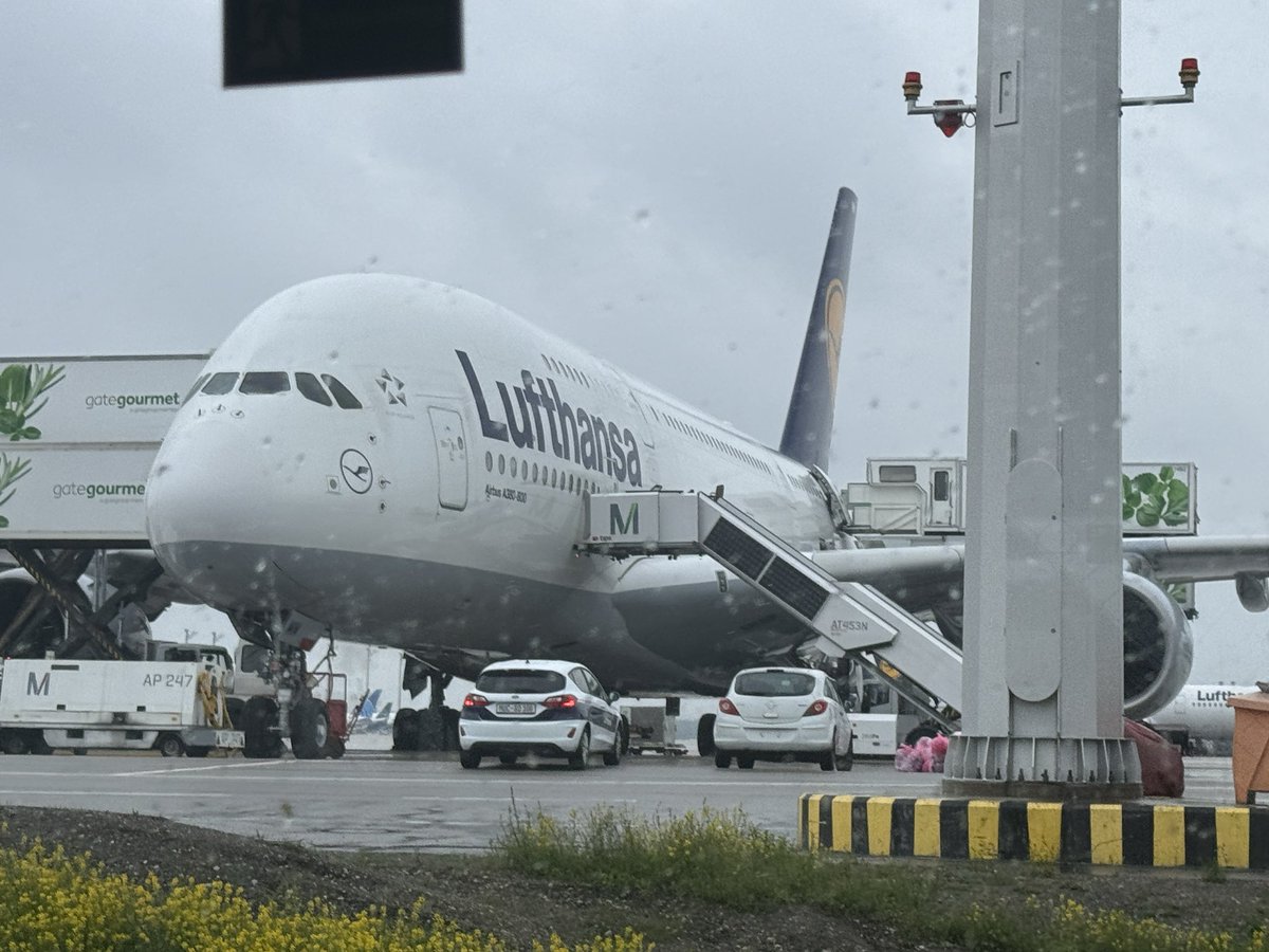 Vienā pusē pļava, otrā pusē majestātiskais A380. ✈️