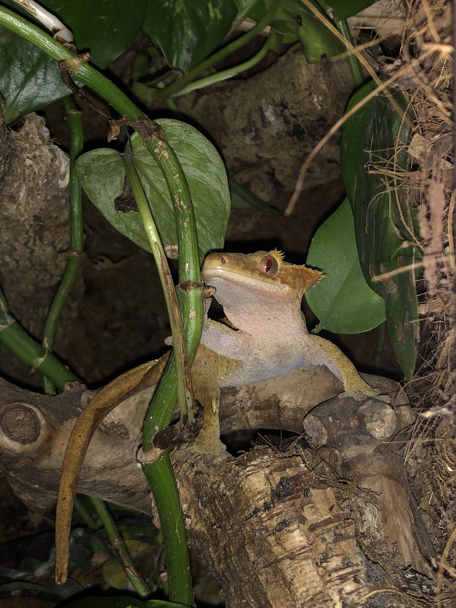 Begrijpelijk, heb een fijne dag.