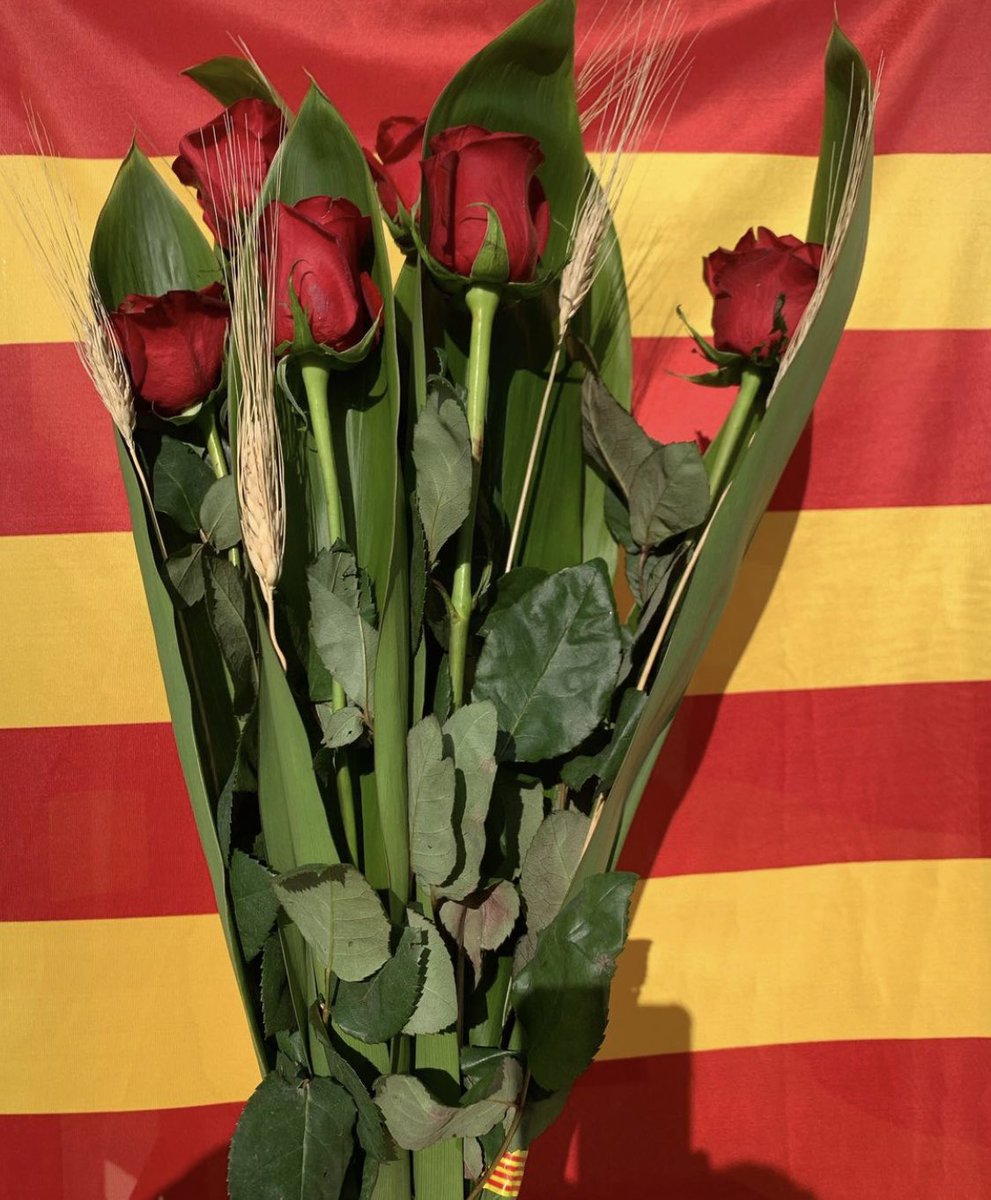 Ajuntament Sant Martí d'Albars tweet media