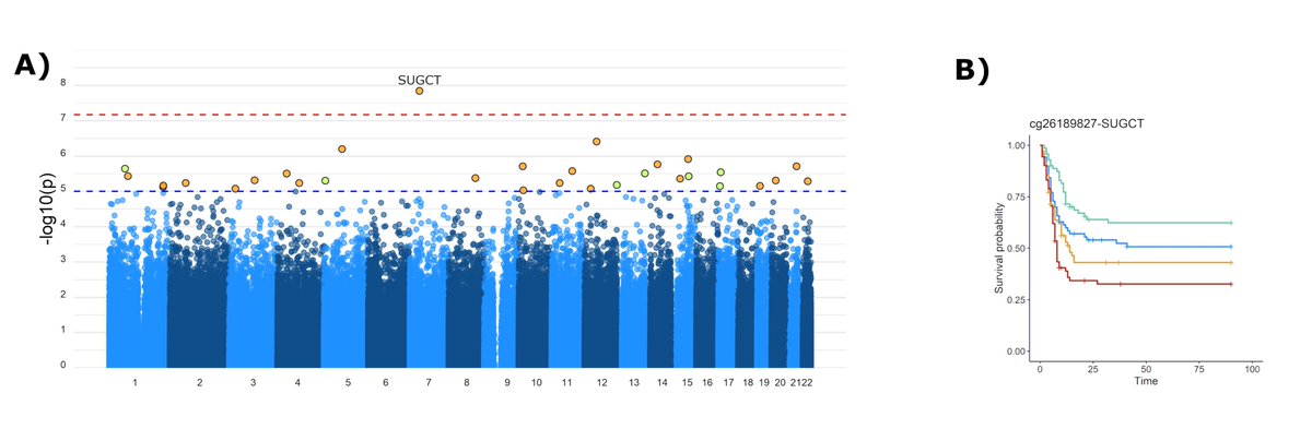 NEUVAS-IMIM tweet media