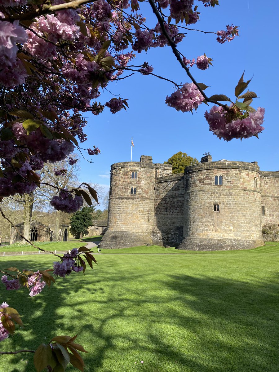 Skiptoncastle's tweet photo. Happy St George’s Day 🏴󠁧󠁢󠁥󠁮󠁧󠁿 #StGeorgesDay https://t.co/oL3Fwr08xc