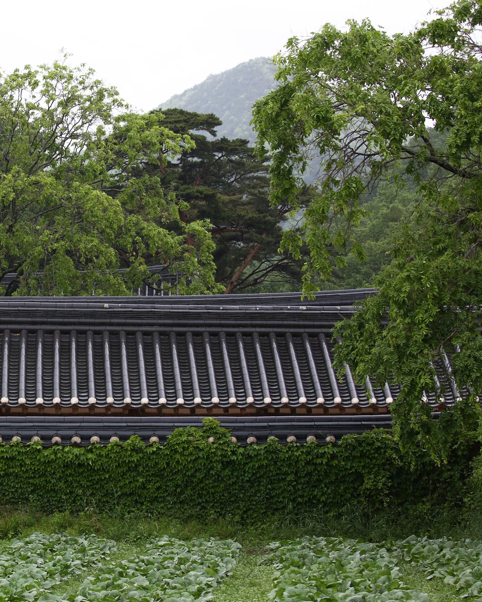 집의 이름인 독락(獨樂)은 홀로 즐기는 선비의 유유자적인 생활과 학문을 통해 진리를 얻는 즐거움이라는 두 가지 뜻을 가진 단어입니다. 욕심 없는 삶, 부끄러움이 없는 마음에서 얻는 즐거움을 독락이라 여긴 것입니다. ©APC