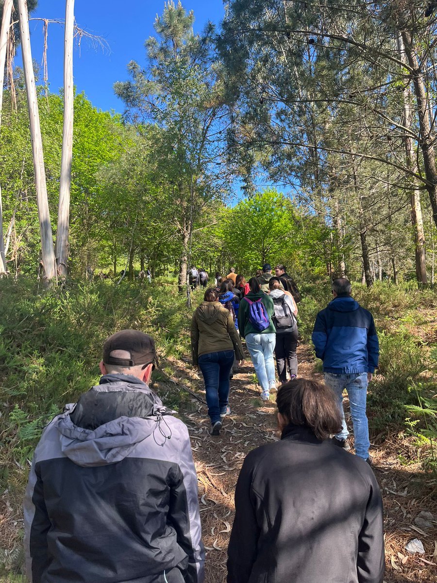 firepoctep's tweet photo. Vistamos las zonas #reforestadas en San Martiño de Vilaboa y conocemos los métodos aplicados en prevención de #incendiosforestales 🌳🌲

@poctep @uvigo https://t.co/UsawIF4z5O