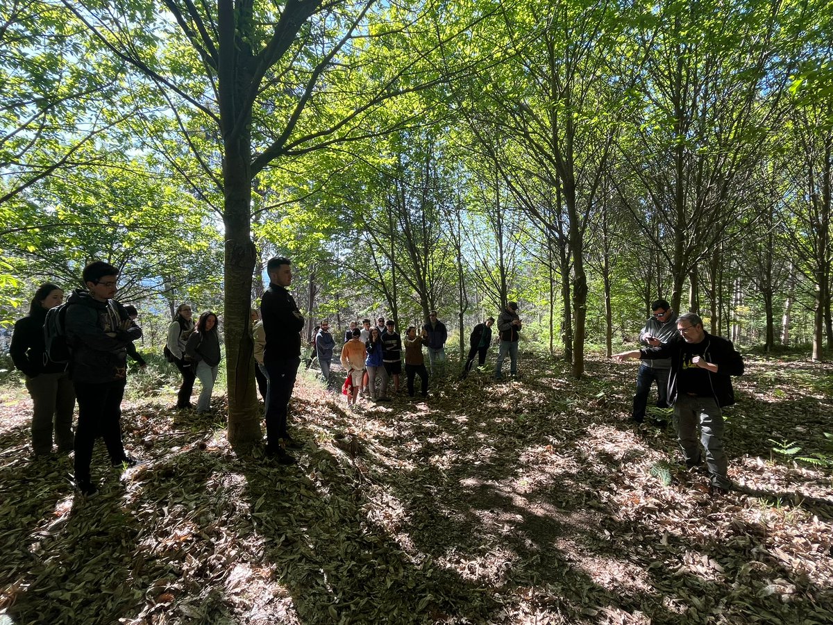 firepoctep's tweet photo. Vistamos las zonas #reforestadas en San Martiño de Vilaboa y conocemos los métodos aplicados en prevención de #incendiosforestales 🌳🌲

@poctep @uvigo https://t.co/UsawIF4z5O