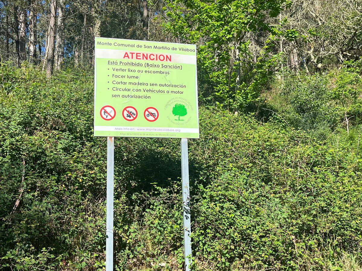 firepoctep's tweet photo. Vistamos las zonas #reforestadas en San Martiño de Vilaboa y conocemos los métodos aplicados en prevención de #incendiosforestales 🌳🌲

@poctep @uvigo https://t.co/UsawIF4z5O