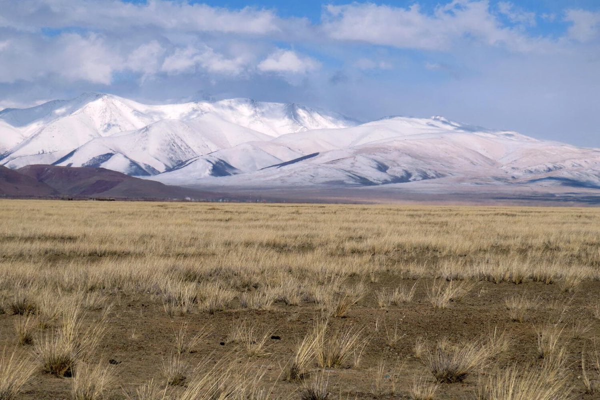 benliau's tweet photo. “Conquering the world on horseback is easy; it is dismounting and governing that is hard.” #genghiskhan #quotes #quotesdaily https://t.co/VZBcuTzUP6
