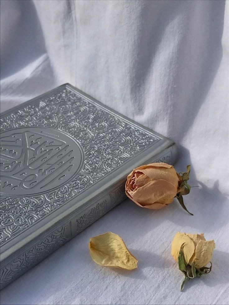 msinaa_s's tweet image. Tu aimerais qu'on te comprenne, mais en réalité seul Allah peut comprendre