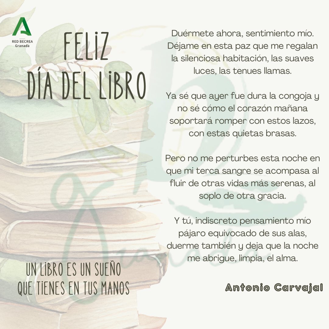 Red BECREA Granada tweet media