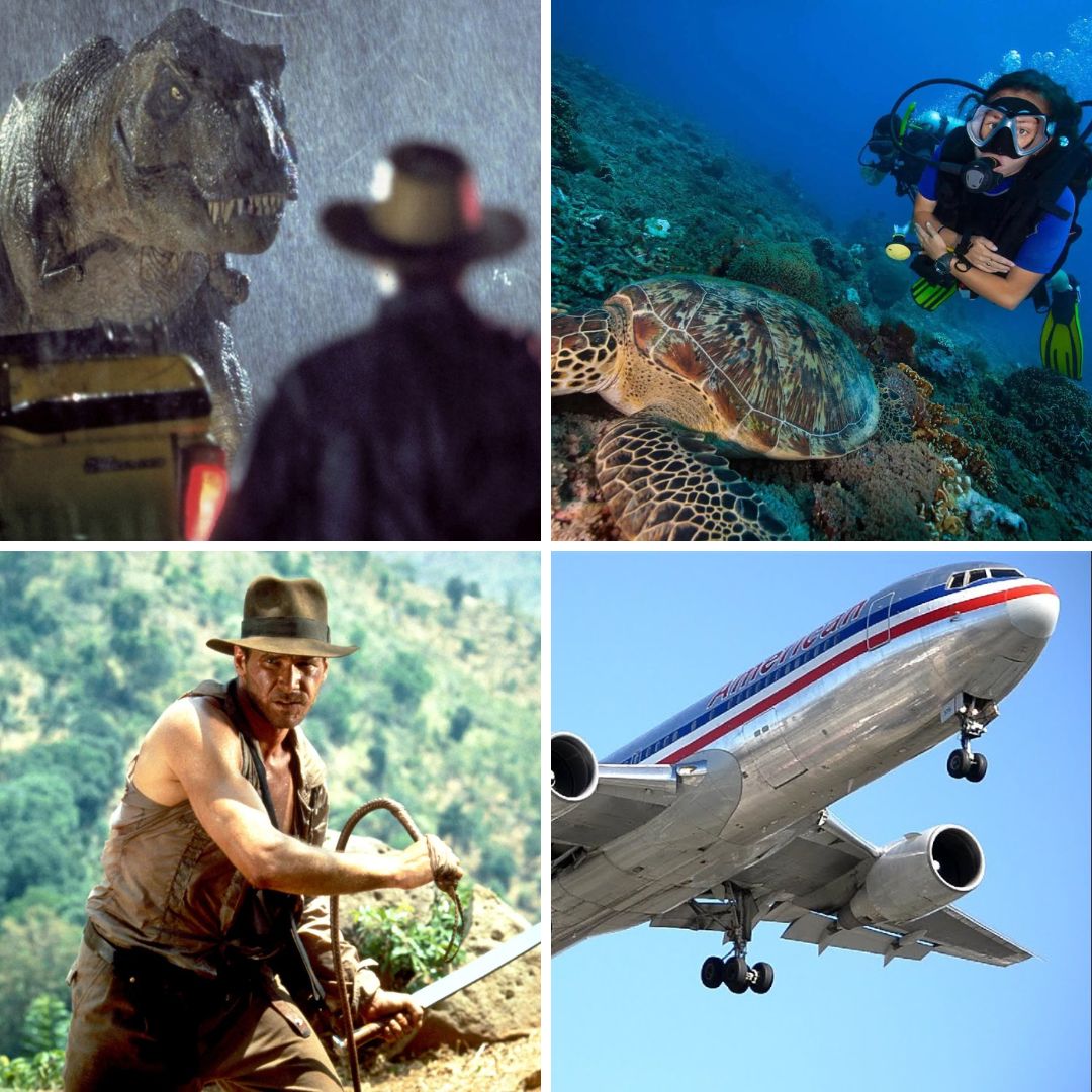 Professions I dreamt of as a child: palaeontologist, explorer, marine biologist, airline pilot. What are yours?