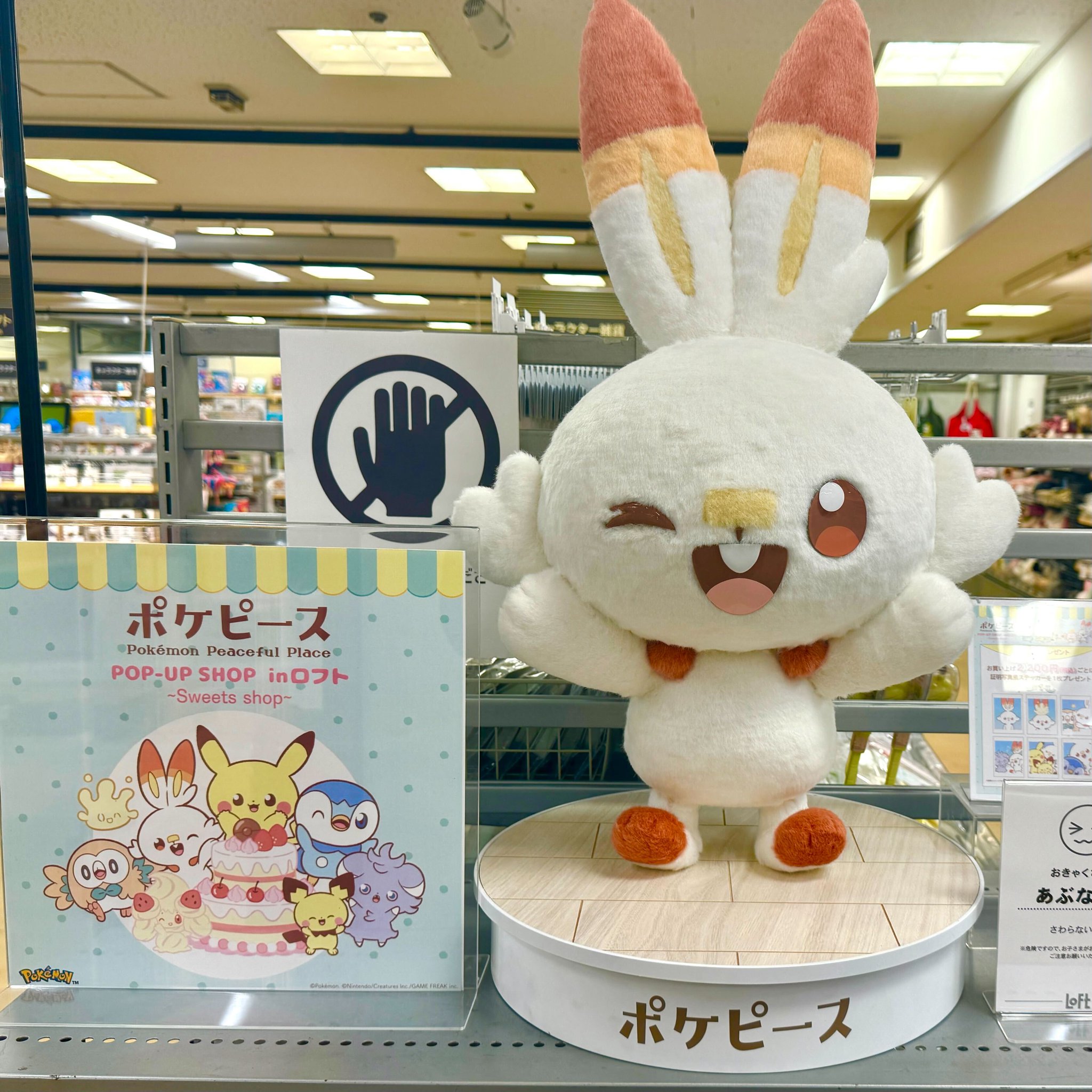 【​限​定​販​売​】 公式】ポケモン情報局 on  X: その他