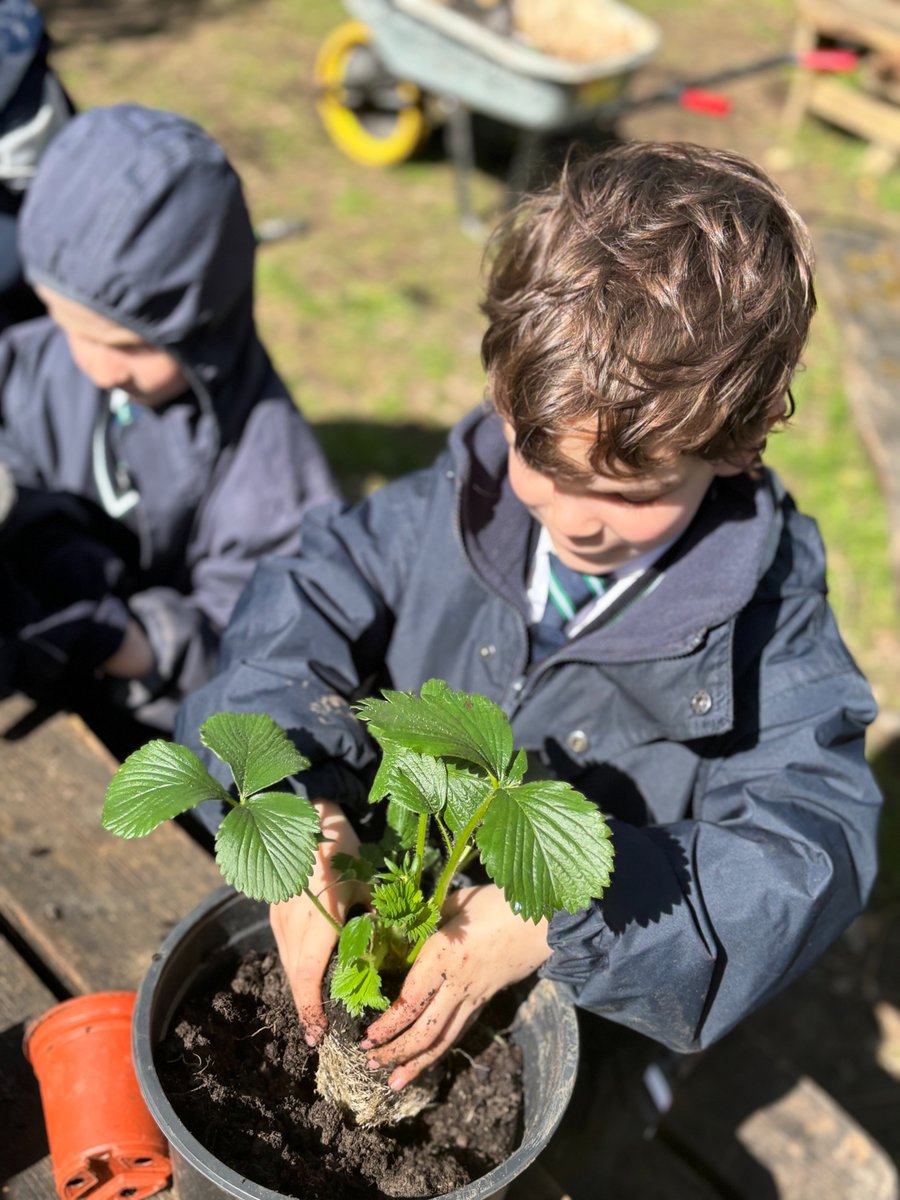 Highfield Prep Hlc tweet media