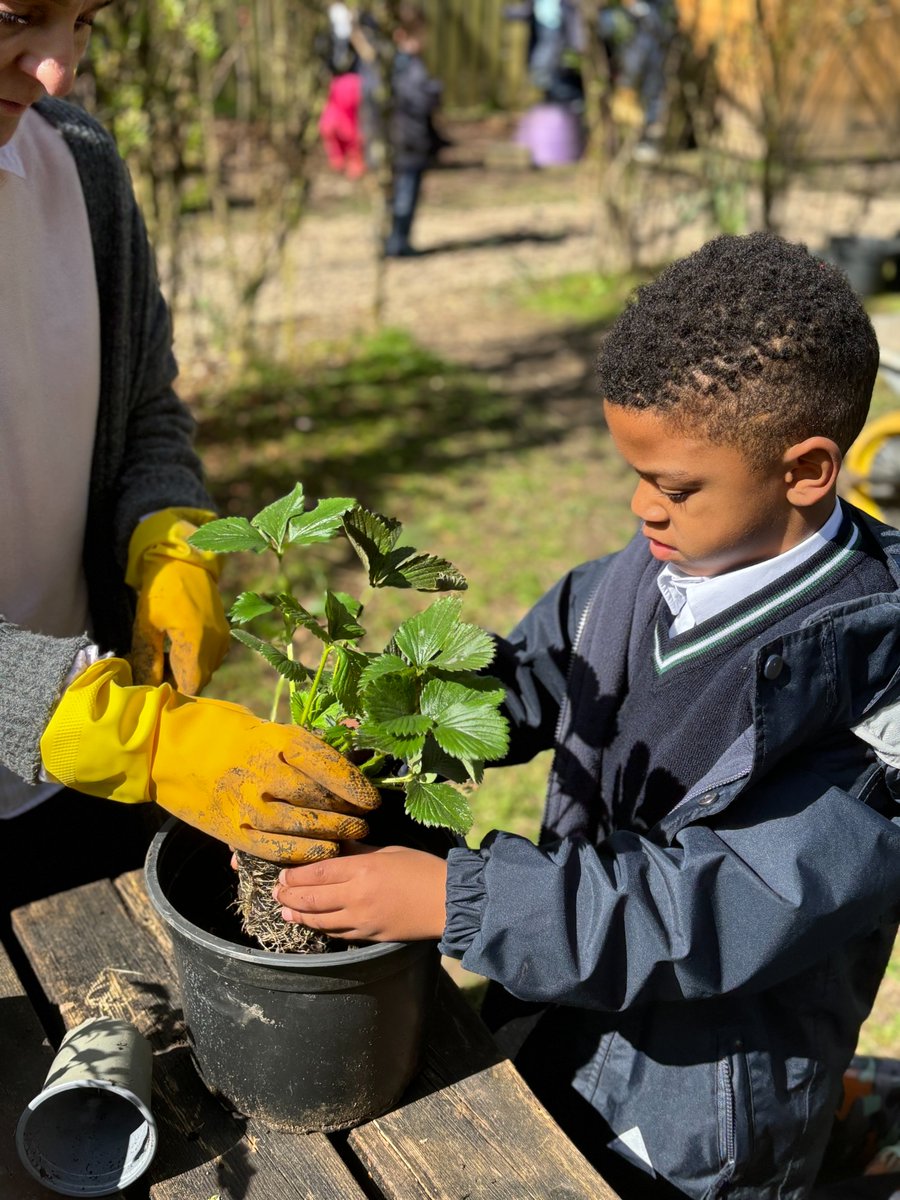 Highfield Prep Hlc tweet media