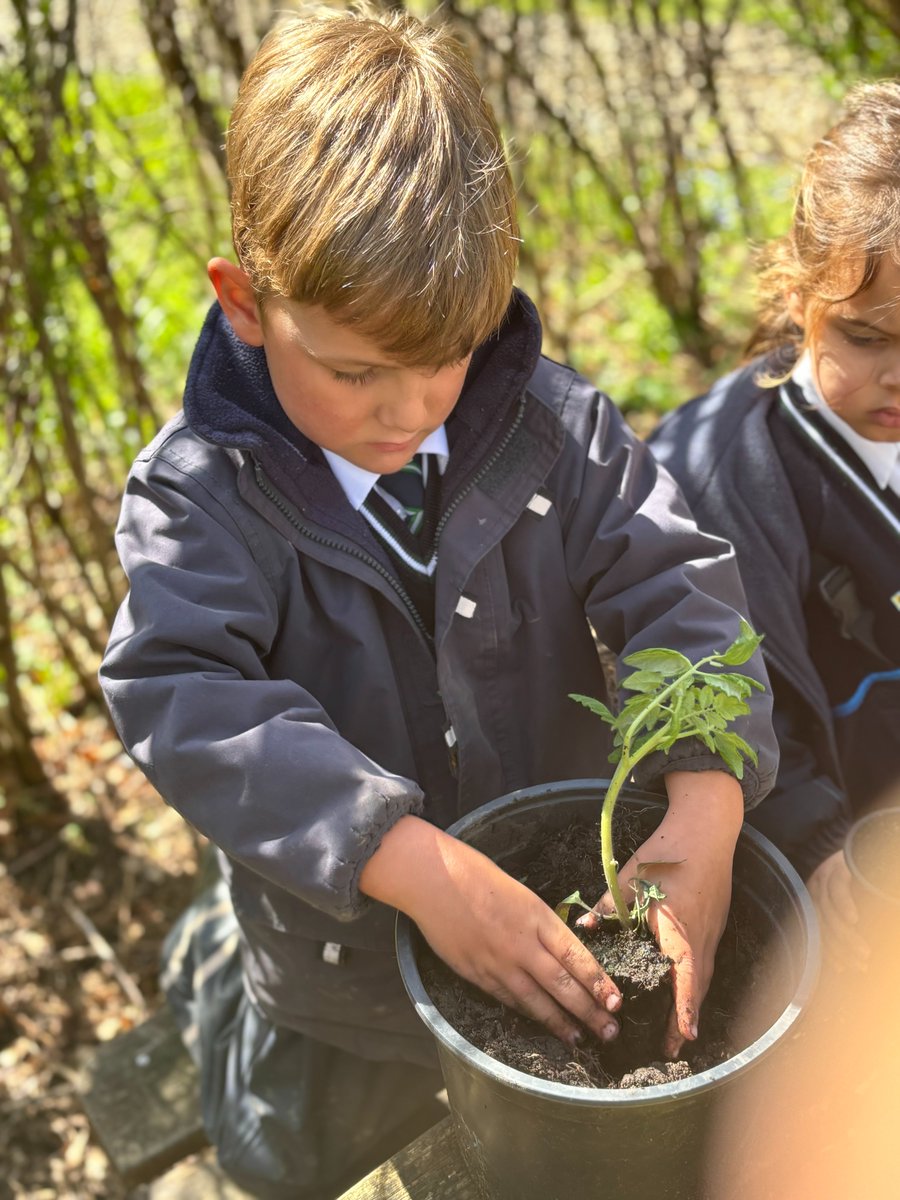 Highfield Prep Hlc tweet media