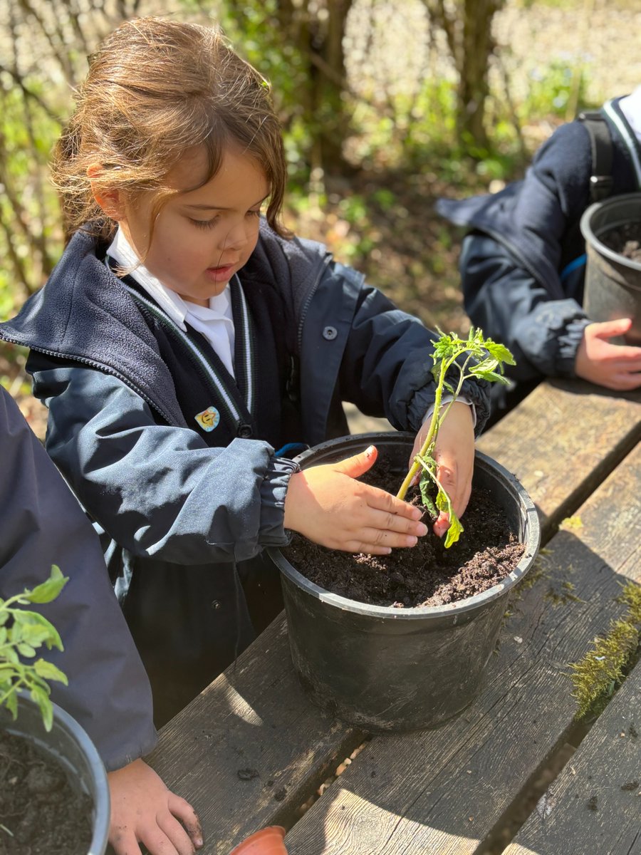 Highfield Prep Hlc tweet media