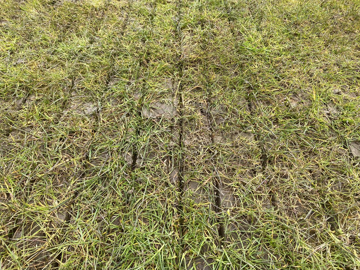 CarelFourie015's tweet image. When you ask for afternoon delivery and it here  5 hours early @rigbytaylor @OriginAmenity Great service from my rep 👏🏻👌🏻
#R140 #onlythebest 🌱🌱🌱
@VredoDodewaard