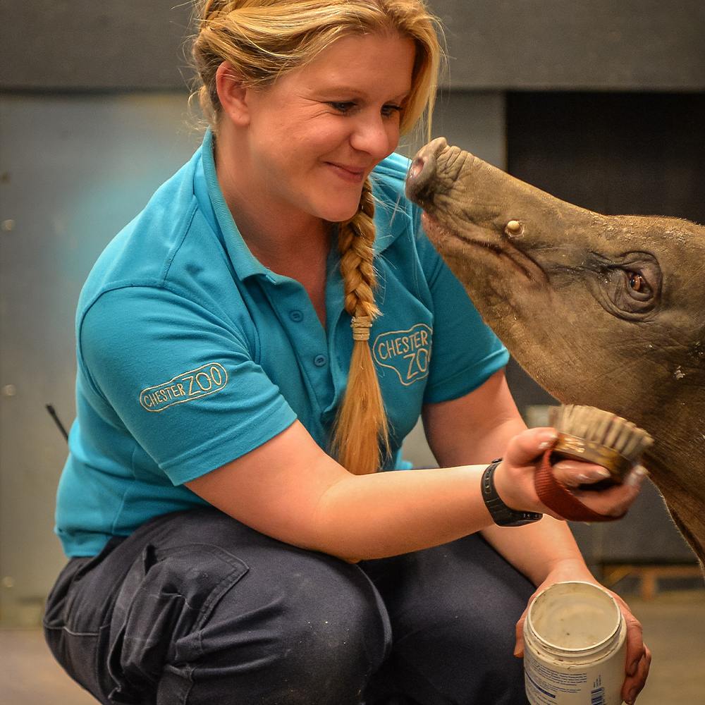 Following the success of an innovative Keeper and Aquarist Apprenticeship, we're delighted to again be working with @chesterzoo in delivering and recruiting for the next intake of apprentices for August 2024. orlo.uk/UiBaz