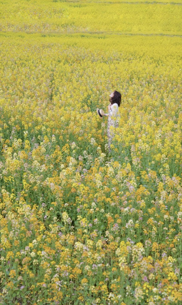 Just a 35-minute drive from downtown #Changsha, #Hunan, a golden sea of rapeseed #flowers awaits you in Heling Town. (Photo Credit: 🍡 -🌈EvanのLewis👬）