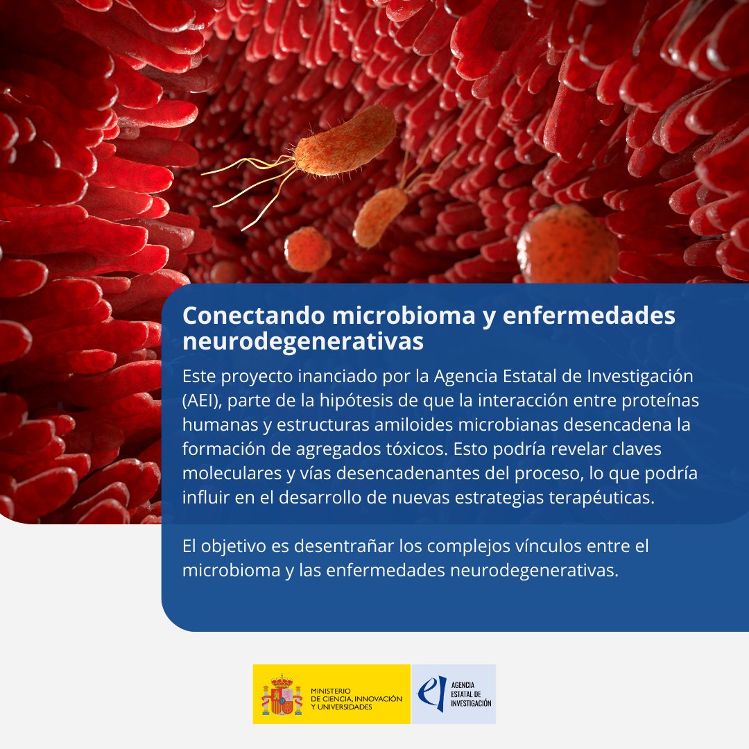 🧠Las enfermedades neurodegenerativas, asociadas al envejecimiento y prevalentes en la población europea mayor, afectan a más de nueve millones de personas en Europa. 🔍 Este proyecto liderado por el @CSIC y financiado por #AEI, tiene como objetivo: ➡️Avanzar en la comprensión…