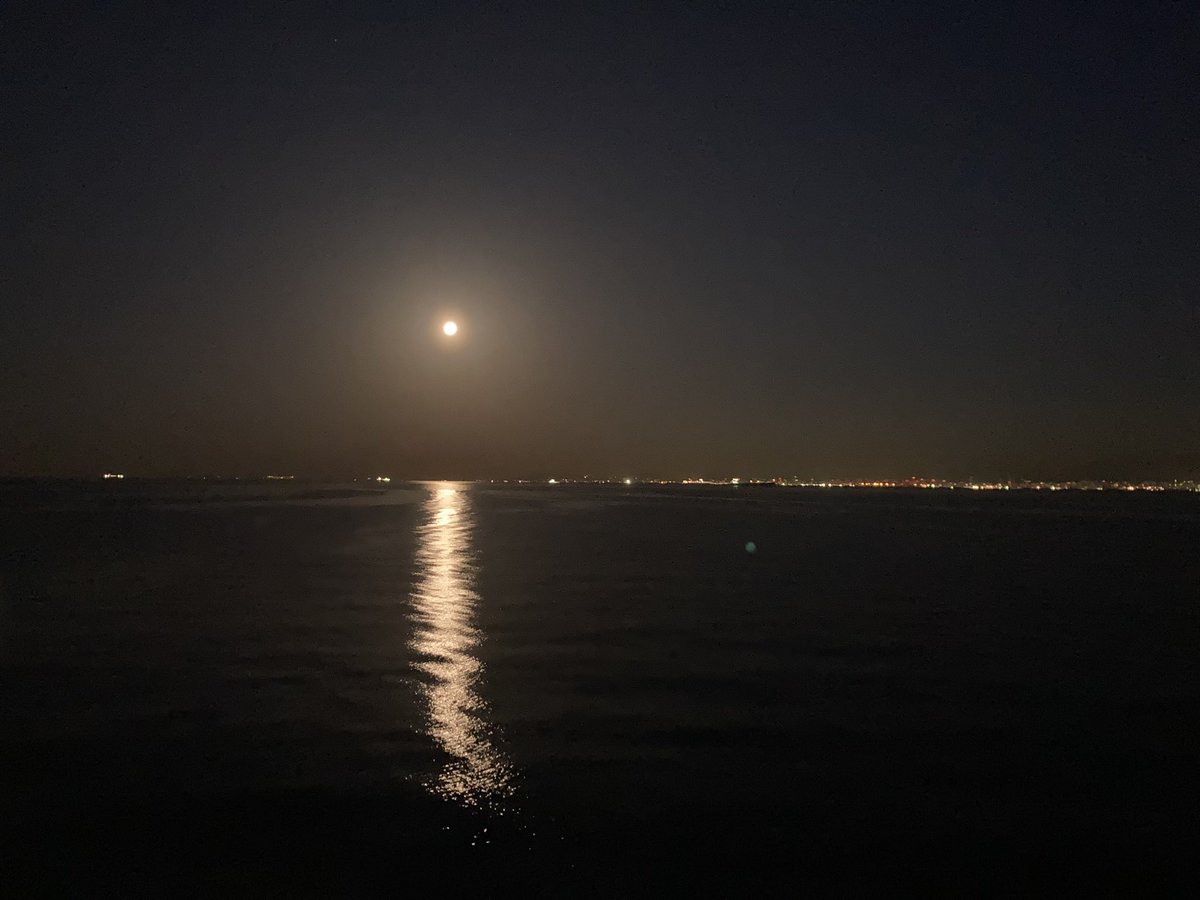 アカウントを作って船乗って楽しく甲板員やって病気で辞めて陸職に戻り、の間に皆様からはとても良くして頂きました。
今でも船は大好きですが、けじめをつけたいと思います。
皆さんありがとうございました。
これからもご安全に！