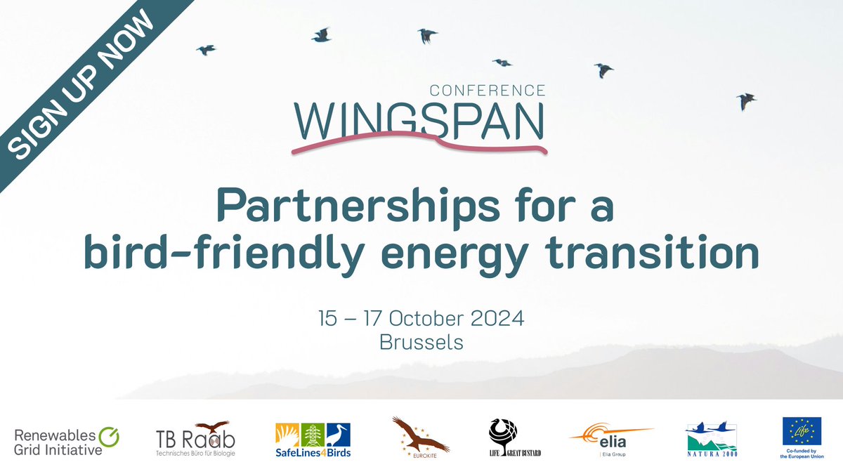 🪽#Wingspan2024 – a new biennial conference for a nature-positive energy transition! The first edition will focus on partnerships for a bird-friendly energy transition. 📍Brussels 🗓️ 15 – 17 October Learn more & sign up👇 eventbrite.com/e/billets-wing…