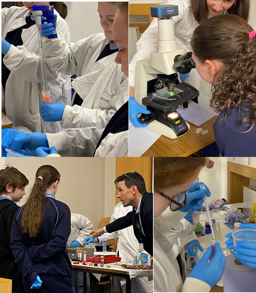 Our TTMI Outreach committee hosted budding 5th class scientists as par of the 4th “Biomedical research in action' workshop with @TrinityAccess21 . A special thanks to organiser @daniela_tropea, teachers & volunteers from @BasdeoLab @LBCAM_TCD @Niamh_LL Tony McElligott labs