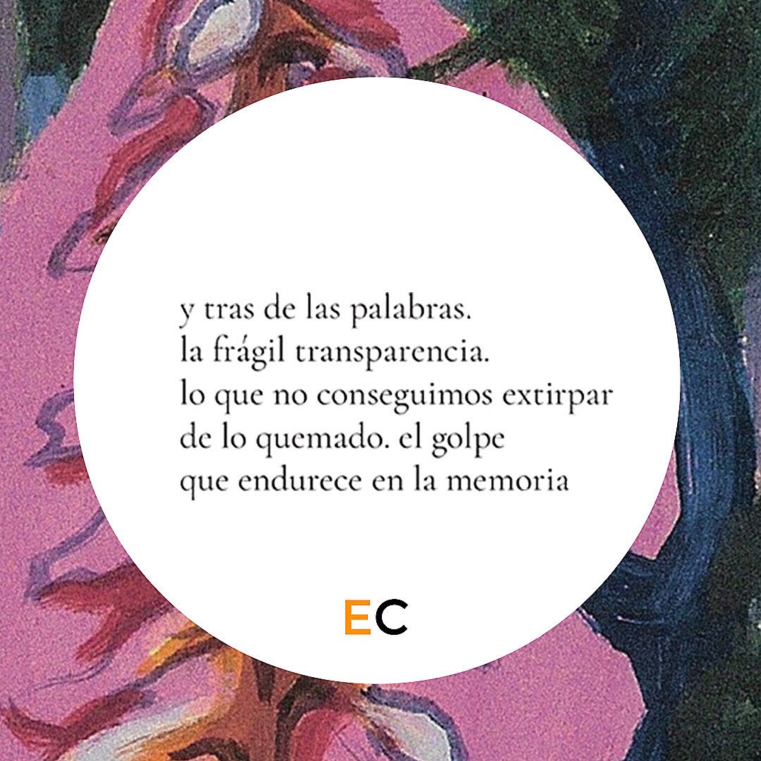 y tras de las palabras. la frágil transparencia. lo que no conseguimos extirpar de lo quemado. el golpe que endurece en la memoria —- Feliz #DíadelLibro #SantJordi #23deabril con más literatura y cultura. —- **Poema de @mdelacruz_0 ‘Cruzamos por el ras de la montaña’