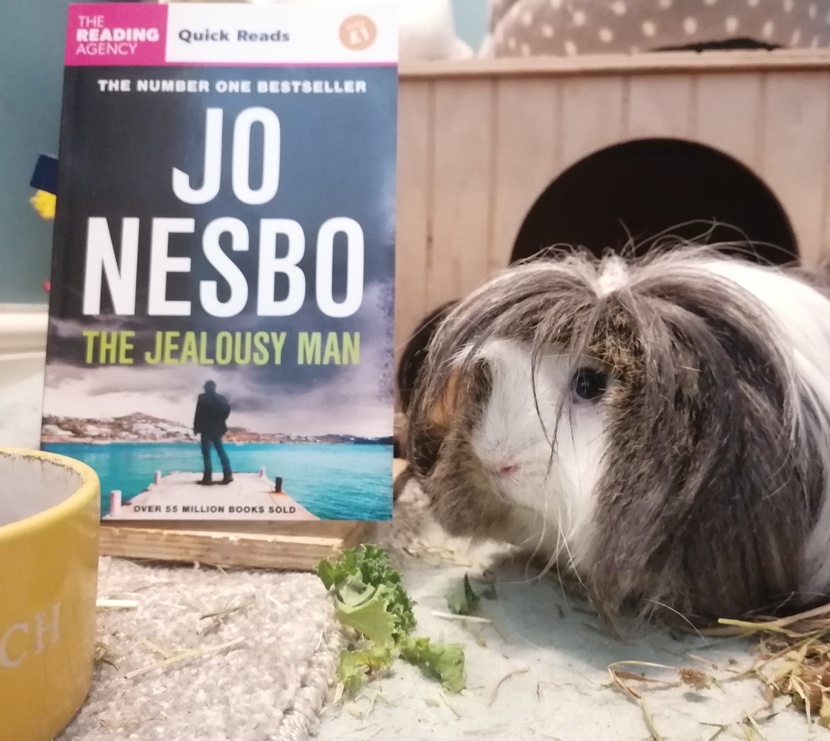 It's #WorldBookNight and we're encouraging you to take part in #ReadingHour.

From 7-8pm, we want you to stop what you're doing and just read. Read alone, read with family, read with friends... you can even read with your guinea pig. Go on, they love a good thriller.