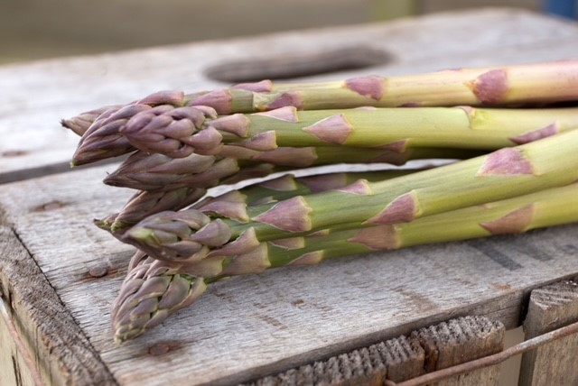 Norfolk Asparagus is in full swing. Locally supplied by @portwoodasparagus in Attleborough. British asparagus has a reputation for being the best, tender, sweet & found in season for only a few months between April and June. Available to order from us now, in 250gram bunches