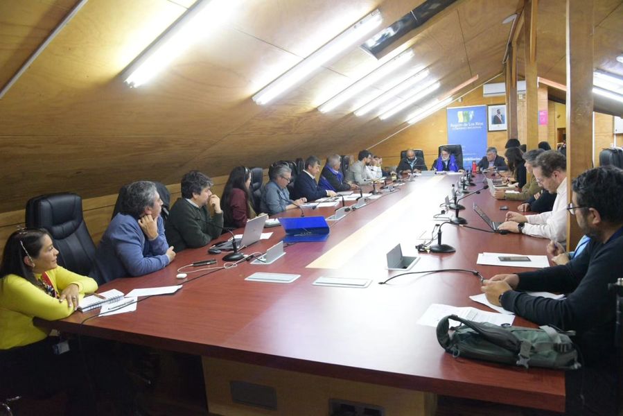 MuniPangui's tweet photo. ✅🚢Hasta #Valdiviacl se trasladaron nuestros directores de #Dideco, #Secplan y #Salud para participar en la primera reunión del Plan #Pirehueico, convocada por el Gobernador Regional @LuisCuvertinoG para coordinar los diferentes servicios en beneficio de sus habitantes. https://t.co/e0l8XITjEU