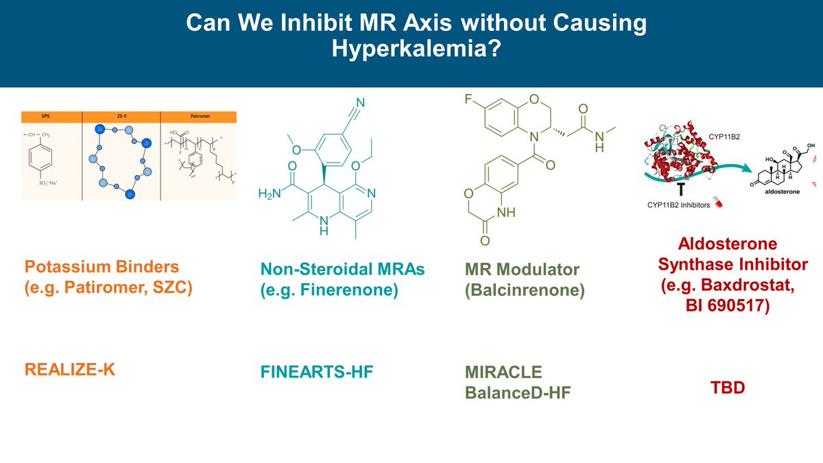 Rich pipeline of alternative approaches to safely block MR axis being investigated in heart & kidney disease 🔥 K+ lowering therapies 🔥 Nonsteroidal MRAs 🔥 MR modulators 🔥 Aldosterone synthase inhibitors 👀 this rapidly changing space—upcoming HF RCTs to likely report '24 👇🏾