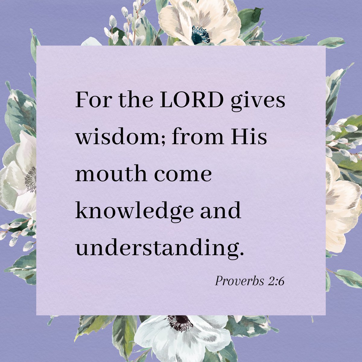 For the LORD gives wisdom 🙌🏼 #verseoftheday #tuesday #bibleverse #proverbs #wisdom #biblestudy #faith #Godisgood 🤍