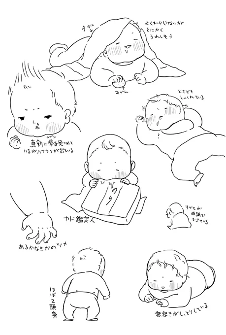 いろいろなあかちゃん 