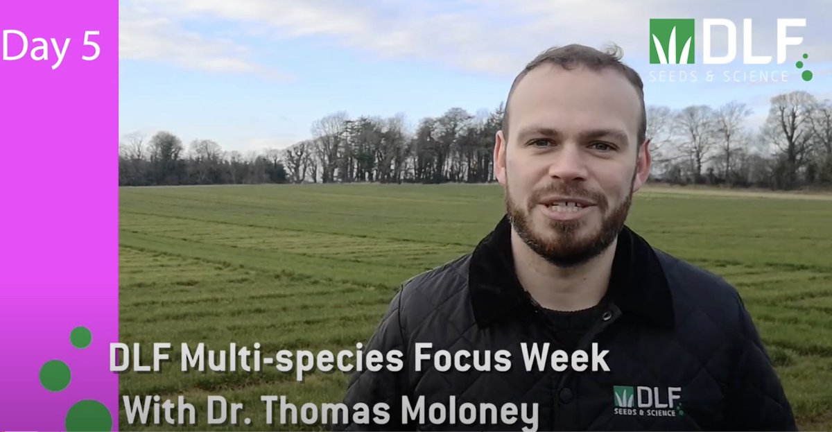 Tonight we will hear about some of the benefits Irish farmers are getting by using Multi-species Swards right now. Watch the full video here: youtu.be/zGUdCnb7v_Q?si…. Want to learn more? Sign up to our multi-species series here 👉 ow.ly/l8zr50RmiGX #dlf #multi-species