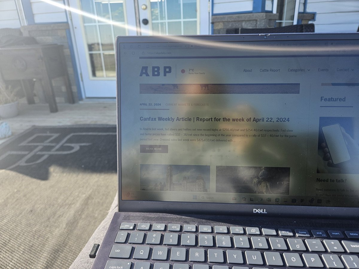 In with the sunshine, out with the seasonal depression
(Thanks to the southern alberta wind for taking a brief break)